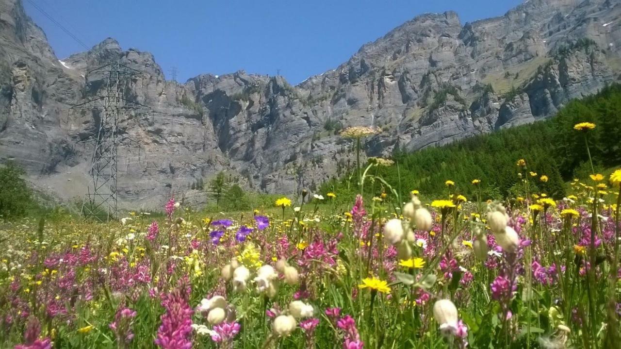 Pension Ostbach Лойташ Екстериор снимка